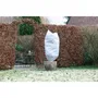 Naturaleza Juego de 3 Fundas de Invierno 50 g/m² - Ø 50 cm x 1 m - Blanco