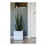 Eda Caja de flores cuadrada Graphit Up 21 L - Blanco encalado