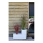 Eda Caja de flores cuadrada Graphit Up 21 L - Blanco encalado