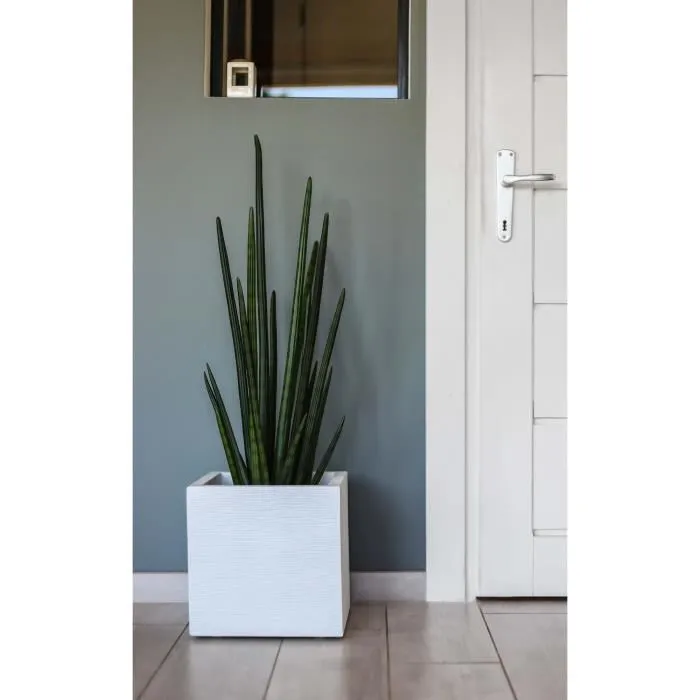 Eda Graphit Up Caja de flores cuadrada 21 L - 29.5 x 29.5 x 29.5 cm - Cerusie blanco Eda Graphit Up Caja de flores cuadrada 21 L - 29.5 x 29.5 x 29.5 cm - Cerusie blanco