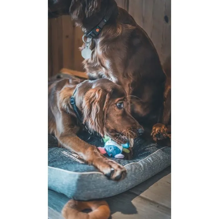 Aime LOVES Mini Peluche Vaca para Perros, Juguete Suave de 16 cm Relleno de Botellas Recicladas Aime LOVES Mini Peluche Vaca para Perros, Juguete Suave de 16 cm Relleno de Botellas Recicladas