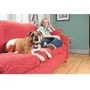 Petsafe Sistema de Apoyo Educativo 600m para Perros | Estimulación Electrostática, Vibración y Sonido, 15 Niveles, Impermeable, Recargable USB, Mando Digital