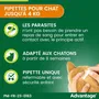 Advantage 40 Pipetas Antiparasitarias para Gatos y Conejos de menos de 4 kg - 4 Unidades