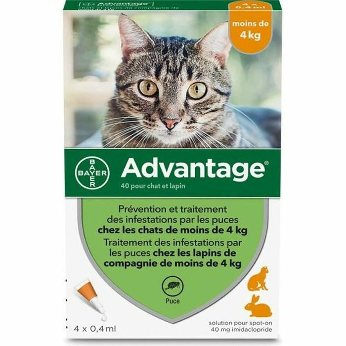 Advantage 40 - 4 pipetas antiparasitarias para gatos y conejos de menos de 4 kg Advantage 40 - 4 pipetas antiparasitarias para gatos y conejos de menos de 4 kg