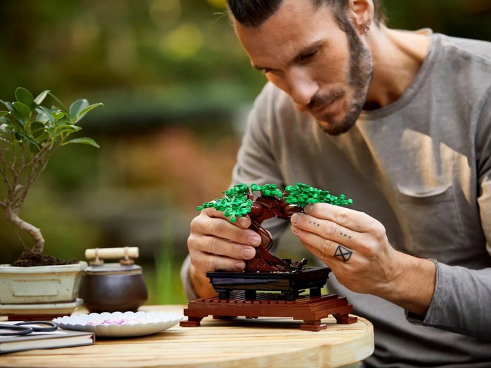 LEGO Creator Expert Bonsai Tree 10281 LEGO Creator Expert Bonsai Tree 10281