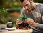 LEGO Creator Expert Bonsai Tree 10281
