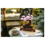 LEGO Creator Expert Bonsai Tree 10281