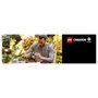 LEGO Creator Expert Bonsai Tree 10281