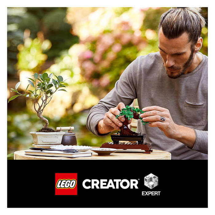 LEGO Creator Expert Bonsai Tree 10281 LEGO Creator Expert Bonsai Tree 10281