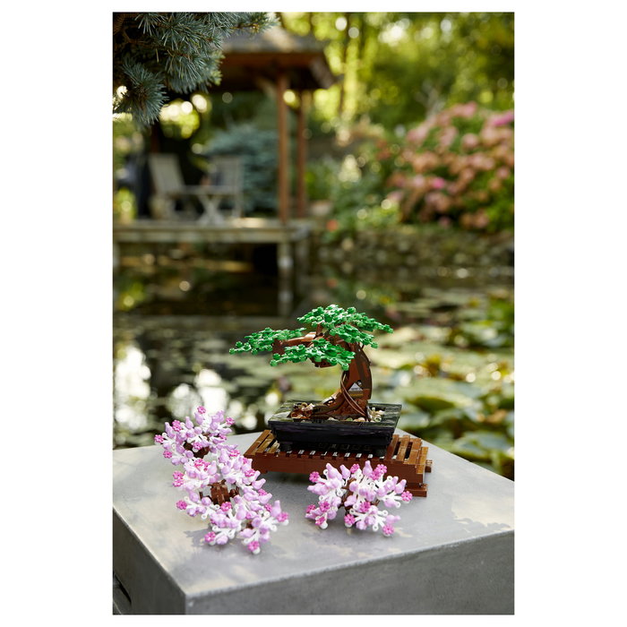 LEGO Creator Expert Bonsai Tree 10281 LEGO Creator Expert Bonsai Tree 10281