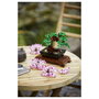 LEGO Creator Expert Bonsai Tree 10281
