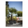 Elho Maceta Greenville Rond 40 Negro Living Ø 39 x H 36.8 cm