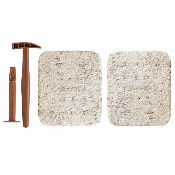 Clementoni Arqueo Ludic T-Rex Triceratops Fosforescentes Kit de Ciencia y Juego para Niños a Partir de 8 Años