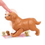 Barbie Set de Juego de Perritos Recién Nacidos