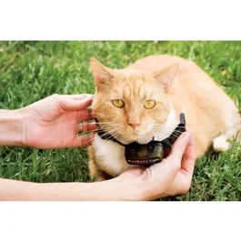 Petsafe Collar Adicional Pcf275-19 para Pcf-1000-20