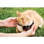 Petsafe Collar Adicional Pcf275-19 para Pcf-1000-20