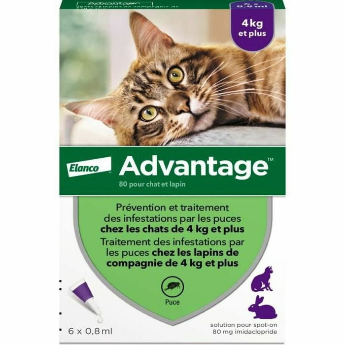 Advantage VENTAJA 80 - 6 pipetas antiparasitarias para gatos y conejos de 4 kg y más