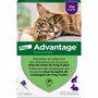 Advantage VENTAJA 80 - 6 pipetas antiparasitarias para gatos y conejos de 4 kg y más
