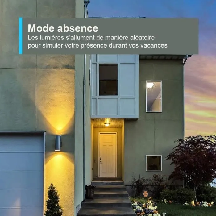 TAPO P100 (paquete de 1) Conector Tapo 100F WiFi conectado