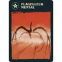 Asmodee ASMREPST01FR Juego de Mesa Stranger Things: Mind Flayer