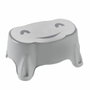Orinal ThermoBaby Gris