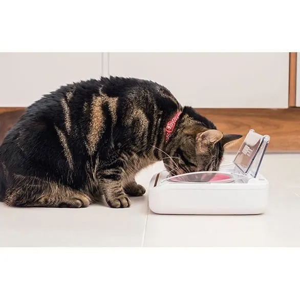 Sureflap SureFeed Dispensador Automático de Alimentos Hermético para Gatos y Perros Pequeños Conserva Frescura Reduce Olores