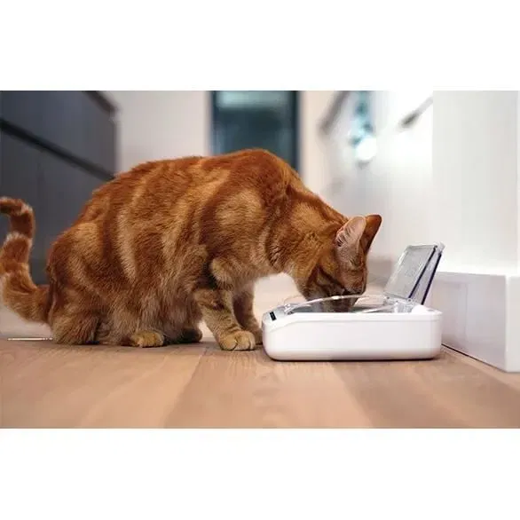 Sureflap SureFeed Dispensador Automático de Alimentos Hermético para Gatos y Perros Pequeños Conserva Frescura Reduce Olores