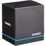 Casio Reloj