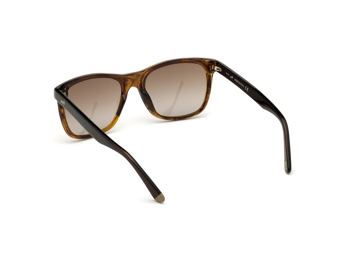 Web Eyewear WE0279-5652G con cristales marrones