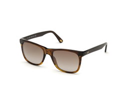 Web Eyewear WE0279-5652G con cristales marrones