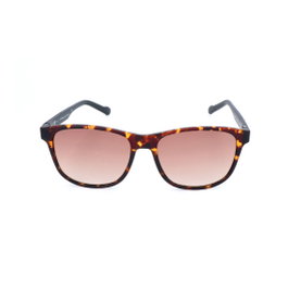 Adidas AOR031-092-009 Gafas de sol marrón habana