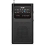 SPC Radio Icy Max