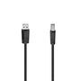 Cable USB 2.0 A a USB B Hama 00200602 Negro