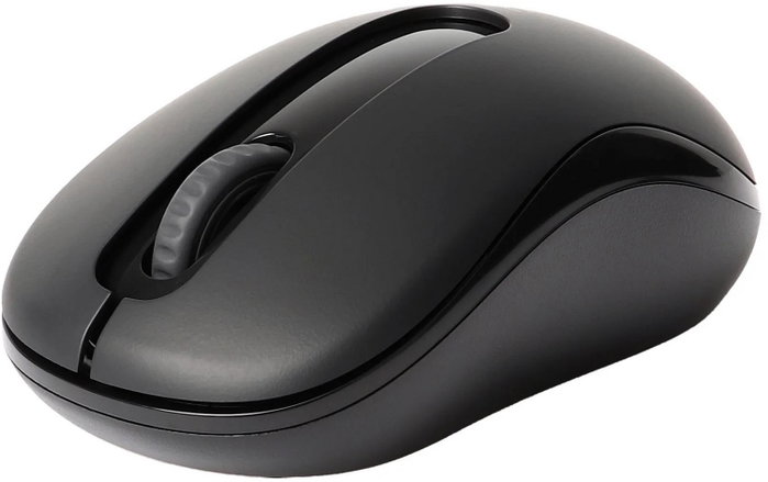 Rapoo M10 Plus Ratón Inalámbrico Negro, 2.4GHz, Sensor Óptico 1000 DPI, Ergonómico USB Nano