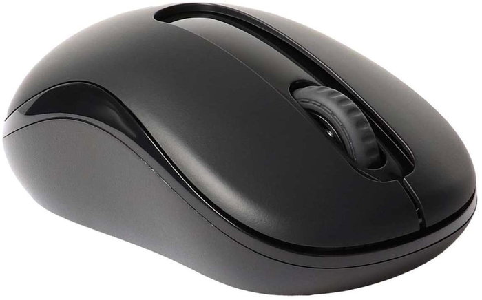 Rapoo M10 Plus Ratón Inalámbrico Negro, 2.4GHz, Sensor Óptico 1000 DPI, Ergonómico USB Nano