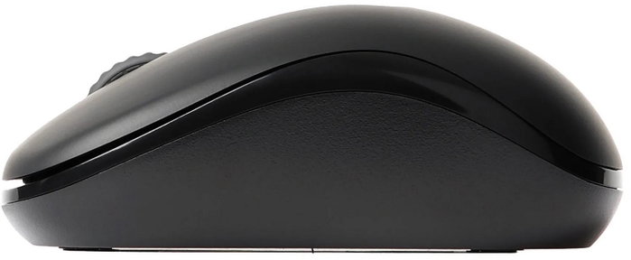 Rapoo M10 Plus Ratón Inalámbrico Negro, 2.4GHz, Sensor Óptico 1000 DPI, Ergonómico USB Nano