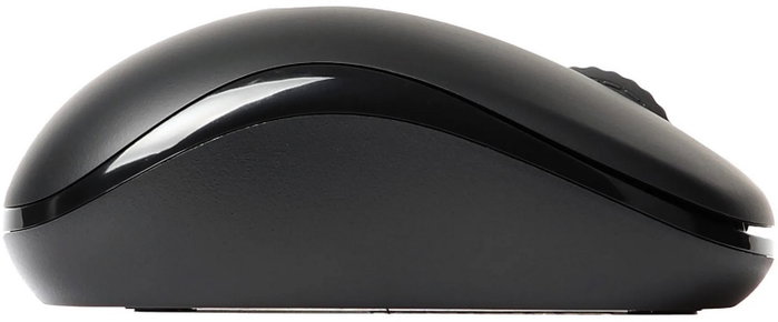Rapoo M10 Plus Ratón Inalámbrico Negro, 2.4GHz, Sensor Óptico 1000 DPI, Ergonómico USB Nano