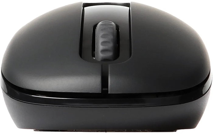 Rapoo M10 Plus Ratón Inalámbrico Negro, 2.4GHz, Sensor Óptico 1000 DPI, Ergonómico USB Nano