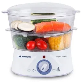 Orbegozo Vaporera CO 4000 16049 O Capacidad 5L