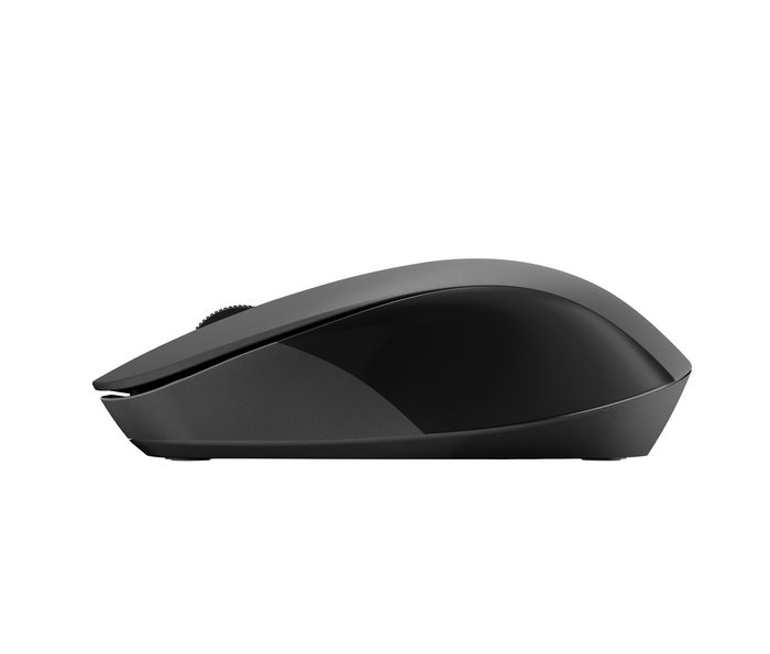 HP Ratón inalámbrico 150 Negro