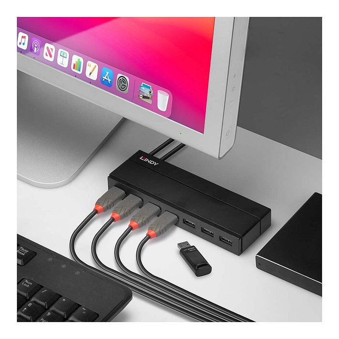 Lindy Hub USB 3.2 Gen 1 de 7 puertos con carga BC 1.2, Negro Lindy Hub USB 3.2 Gen 1 de 7 puertos con carga BC 1.2, Negro