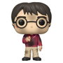 FUNKO Figura POP Harry Potter Anniversary Harry with the Stone