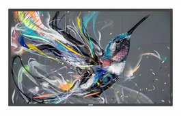 Philips 75" Q-Line Pantalla Profesional 4K UHD 18/7 Basic Failover USB Auto Play CMND &Control Smart Player LAN