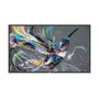 Philips 75BDL3511Q/00 Monitor de señalización digital 75 pulg 4K UHD IPS