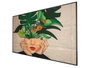 Philips 75'' Professional Display 4K UHD 3840x2160 ADS 500cd/m² 1.07B colores 16:9 8ms DisplayPort HDMI USB RJ45 OPS 24/7