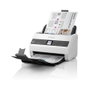 Epson WorkForce DS-730N Escáner Documental de Red