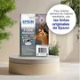 Epson T1304 Cartucho de Tinta Amarillo XL (C13T13044012) Armario Original