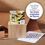 Epson Cartucho de Tinta Negro 16 DURABrite Ultra