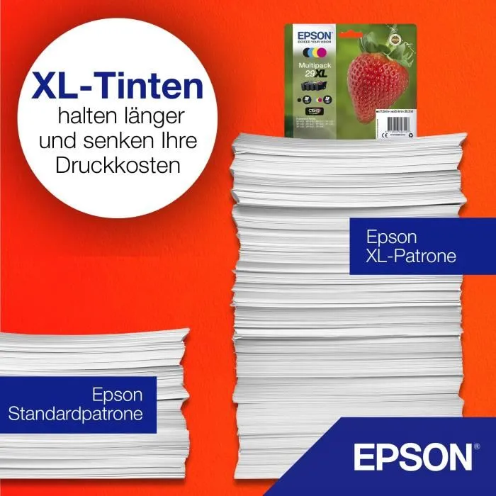 Epson Multipack de 4 Colores nº29 (C13T29864012)