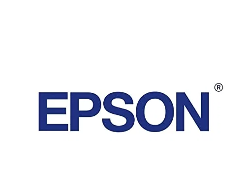 Epson T7607 Cartucho de tinta Negro claro